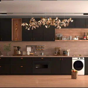gallery (24)